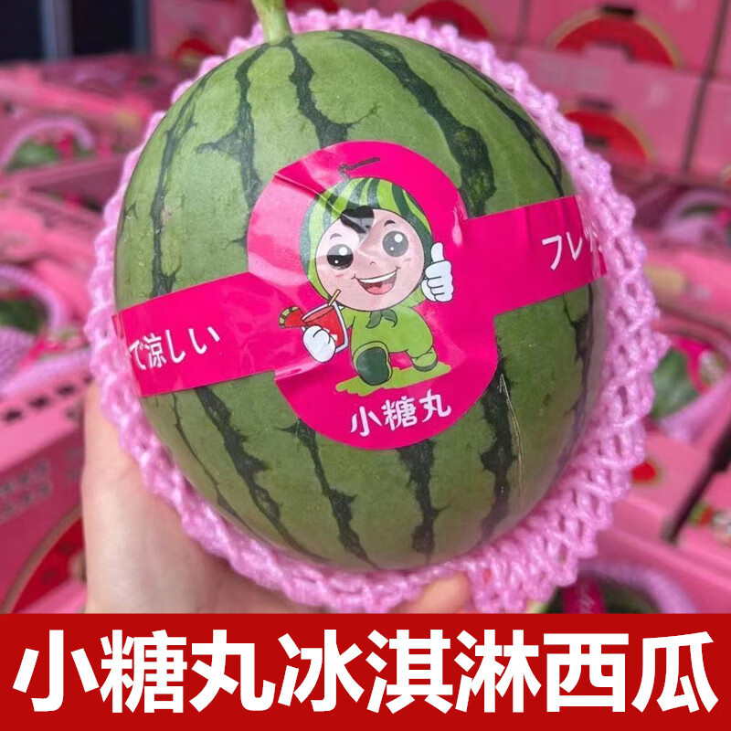 鲜木小糖丸冰淇淋冰糖西瓜薄皮甜蜜多汁当季时令新鲜红心小西瓜 1颗