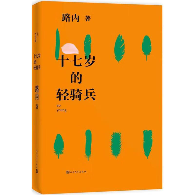 十七岁的轻骑兵 (路内 全新力作)