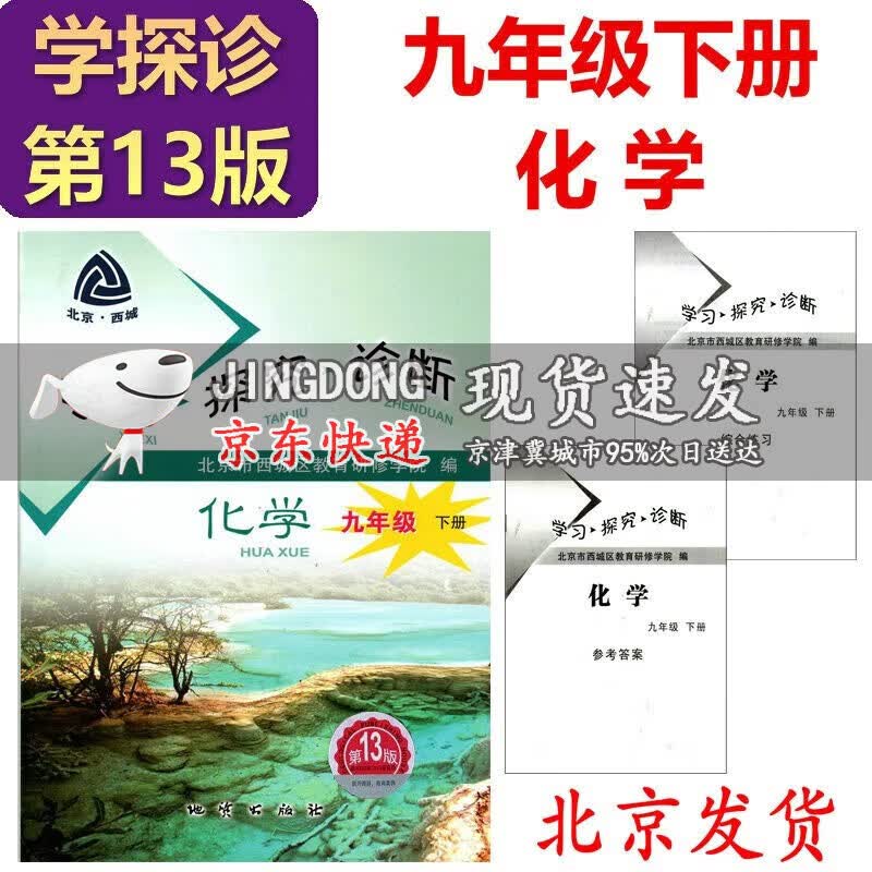 2023版学习探究诊断九年级下册 化学 第13版 学探诊9年级初三化学下册 北京市西城同步练册
