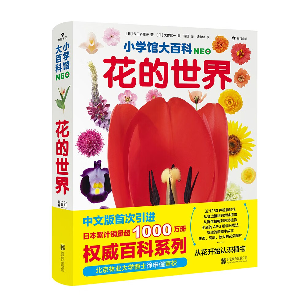 小学馆大百科：花的世界 日本累计销量超1000万册，小学馆镇馆之宝，带孩子从花认识植物7岁以上儿童及家长 