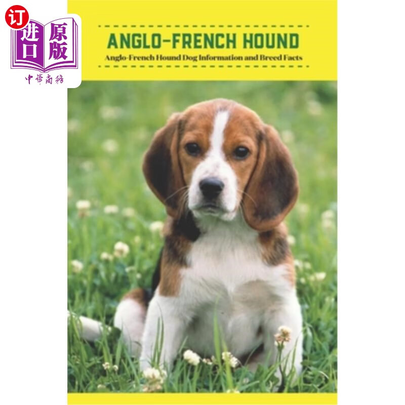 海外直订anglo-french hound: anglo-french hound dog information