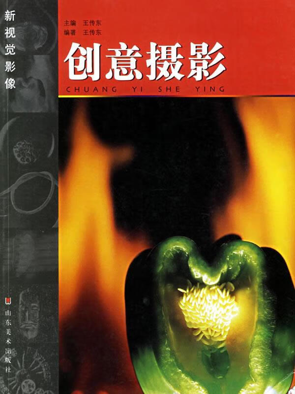 创意摄影 王传东 编著