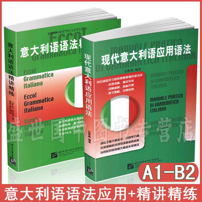 意大利语语法精讲精练+现代意大利语应用语法 意大利语语法习题测试题 速成意大利语 意大利语语法基础