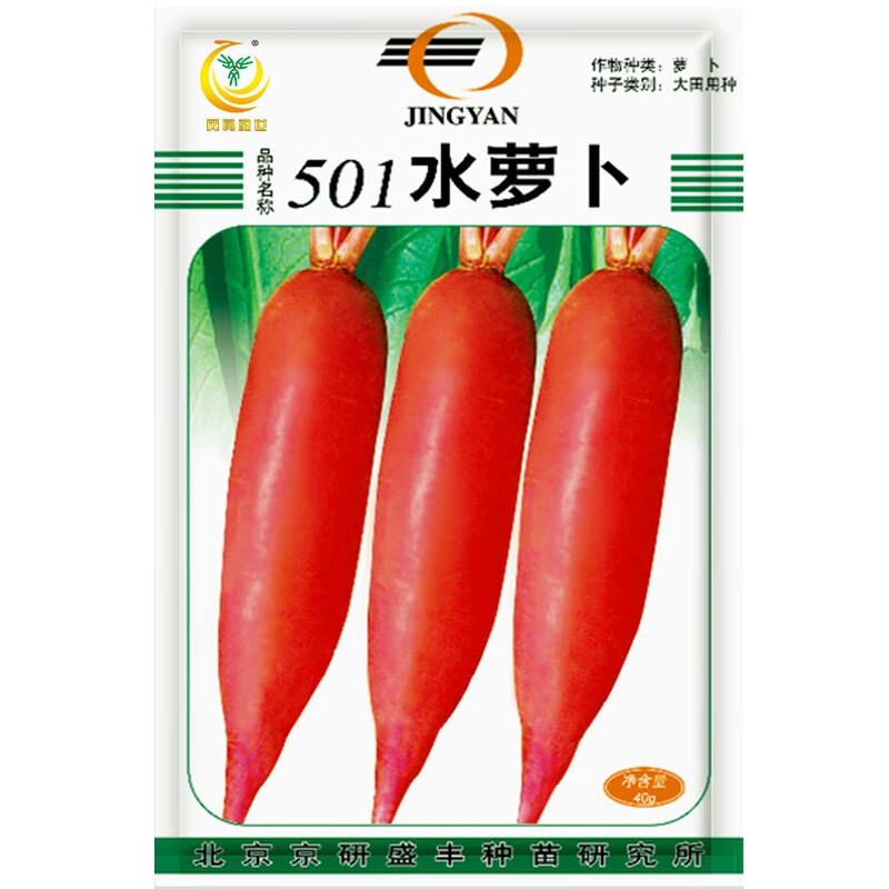 凤鸣雅世  水萝卜种子老不糠春秋易播红皮白肉水果萝卜籽春秋早熟四季