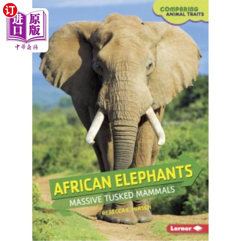 elephants: massive tusked mammals 非洲象:巨大的长牙哺乳动物