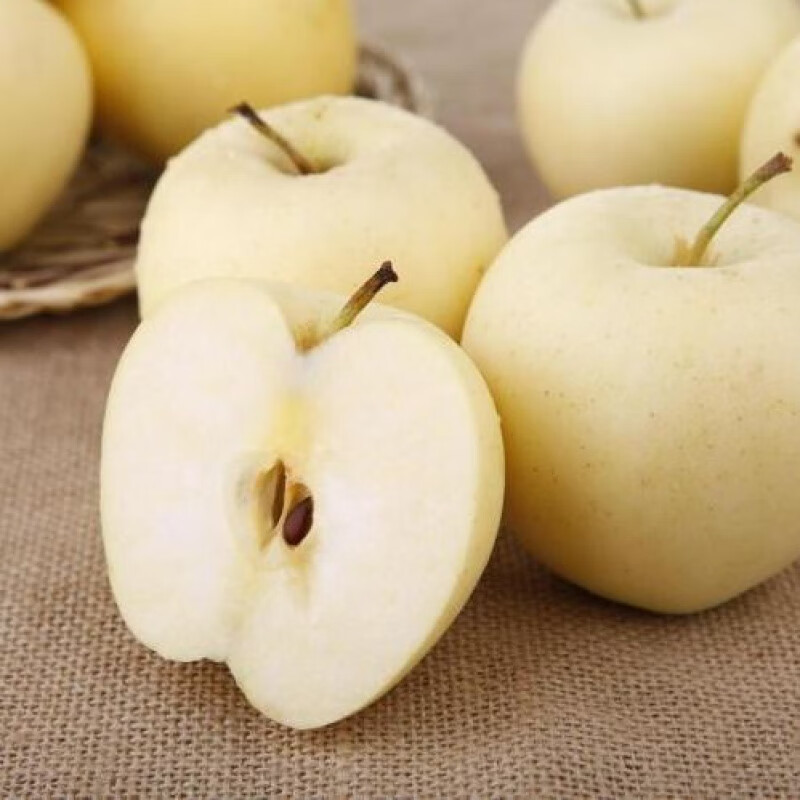 m黄金帅苹果黄元帅粉苹果绵苹果宝宝刮泥新鲜水果苹果 净重4.5斤11-12个