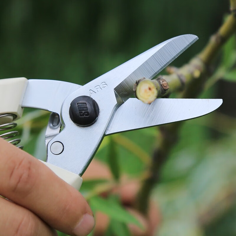 爱丽斯耐磨损修枝剪