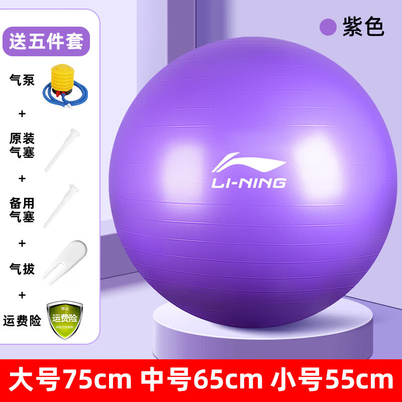助产大龙球儿童感统训练球[尾货] 瑜伽球【紫色】安全防爆(欧盟标准)