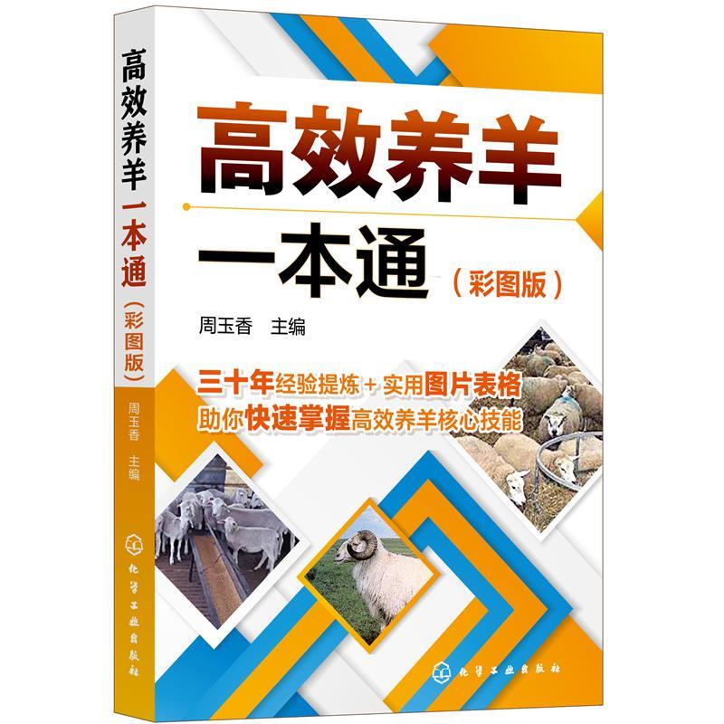 【京东配送 正版新书】 高效养羊一本通（彩图版） 周玉香 主编