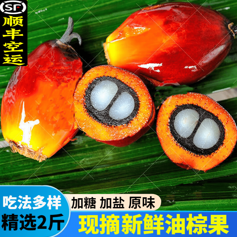 油棕果 新鲜特产棕榈果热带雨林产地直发 香甜软糯应季现摘现发 12g