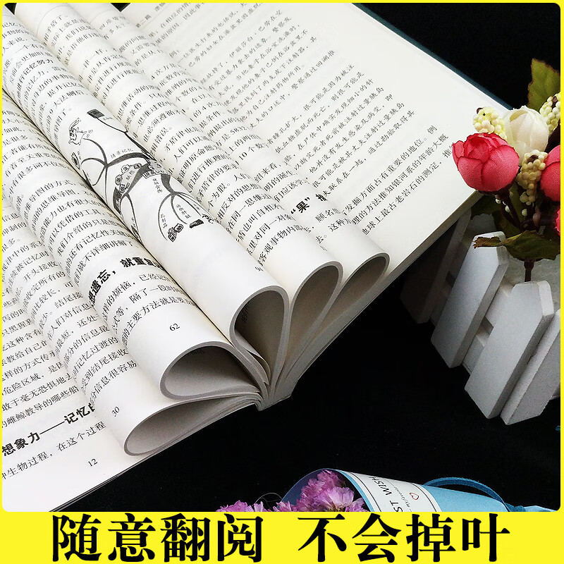 最强大脑