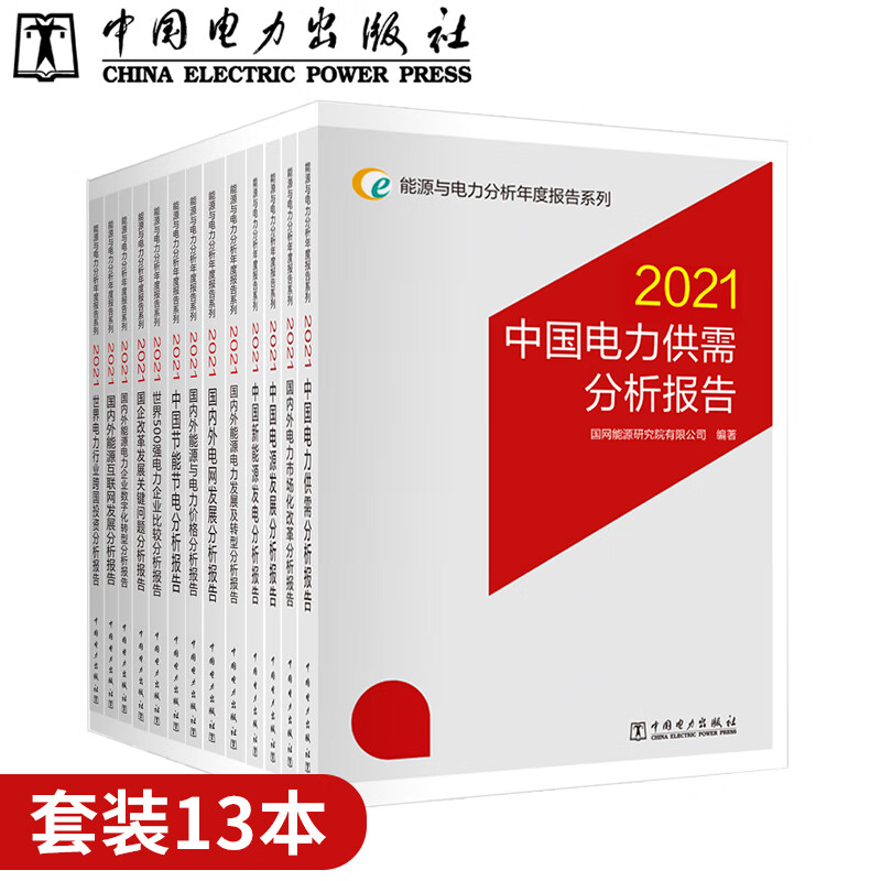 【套装13本】能源与电力分析年度报告系列 2021
