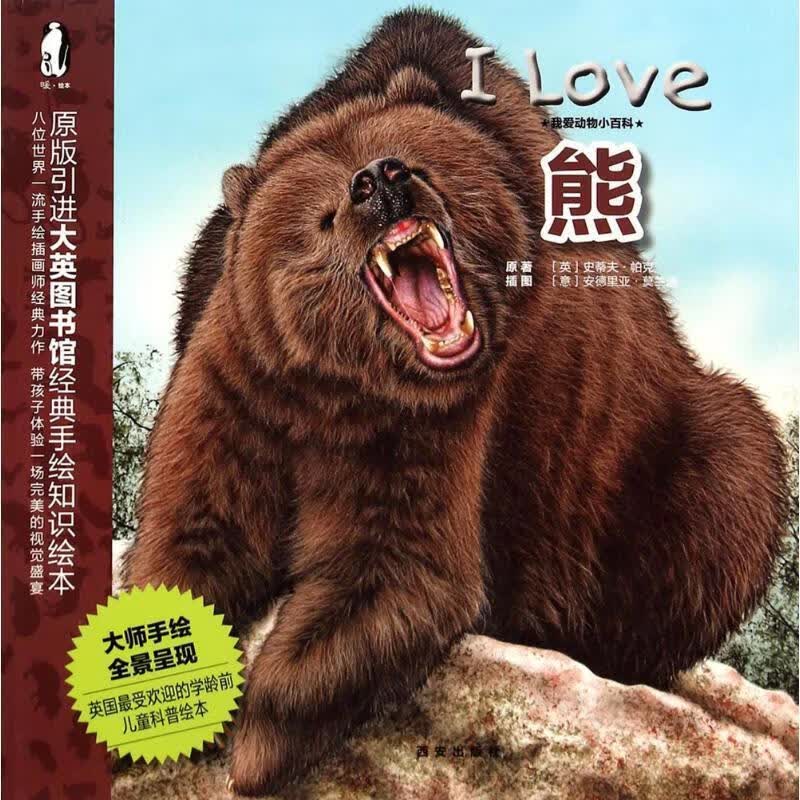 熊-我爱动物小百科