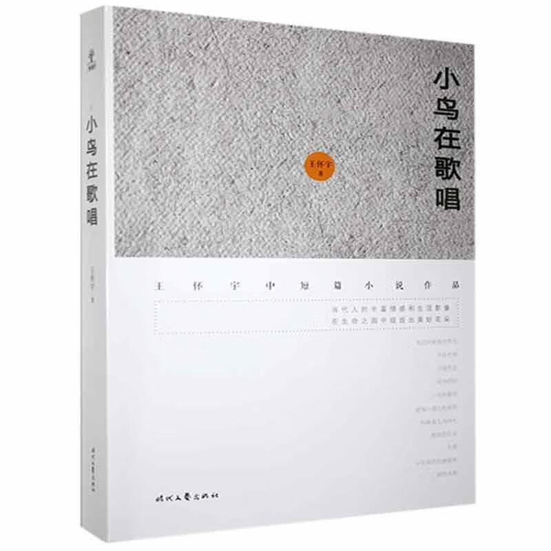 全新现货 小鸟在歌唱 9787538755572  王怀宇 时代文艺出版社 小说