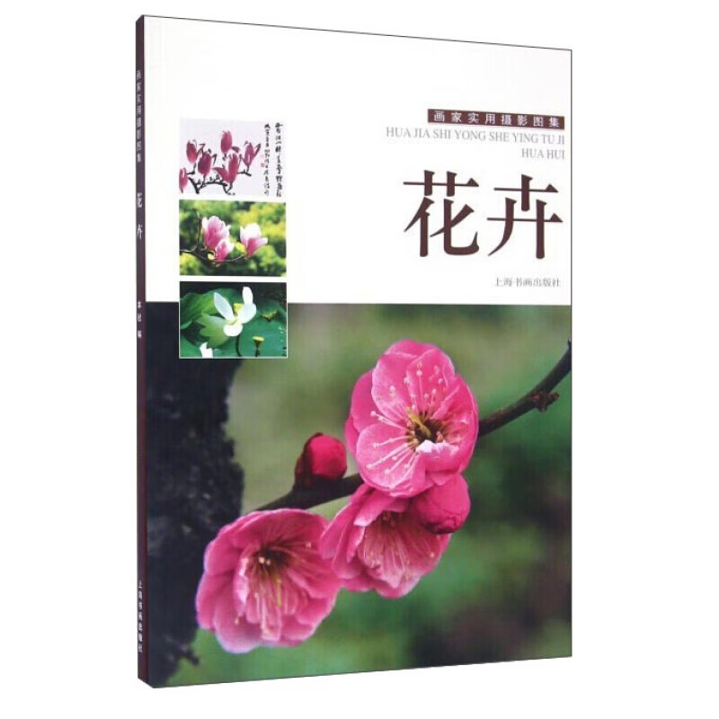 画家实用摄影图集:花卉