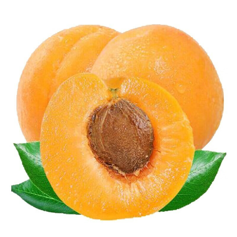 【专享】 现摘大黄杏 AA新鲜水果杏子 5斤装 5斤装