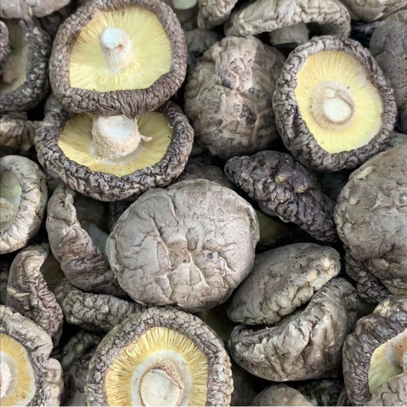 禾澹西峡特产干香菇新货餐饮黄焖鸡食堂专用香菇无根蘑菇散装