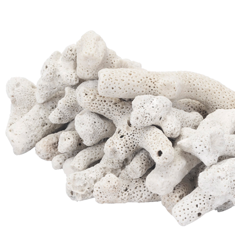 茨格曼珊瑚骨：经济实惠的水族生态选择