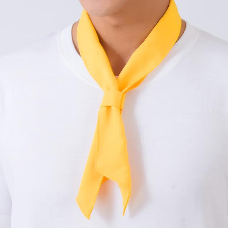 fghgf厨师领结红蓝黄绿色汗巾三角巾厨房厨师长领带餐饮培训学校领巾