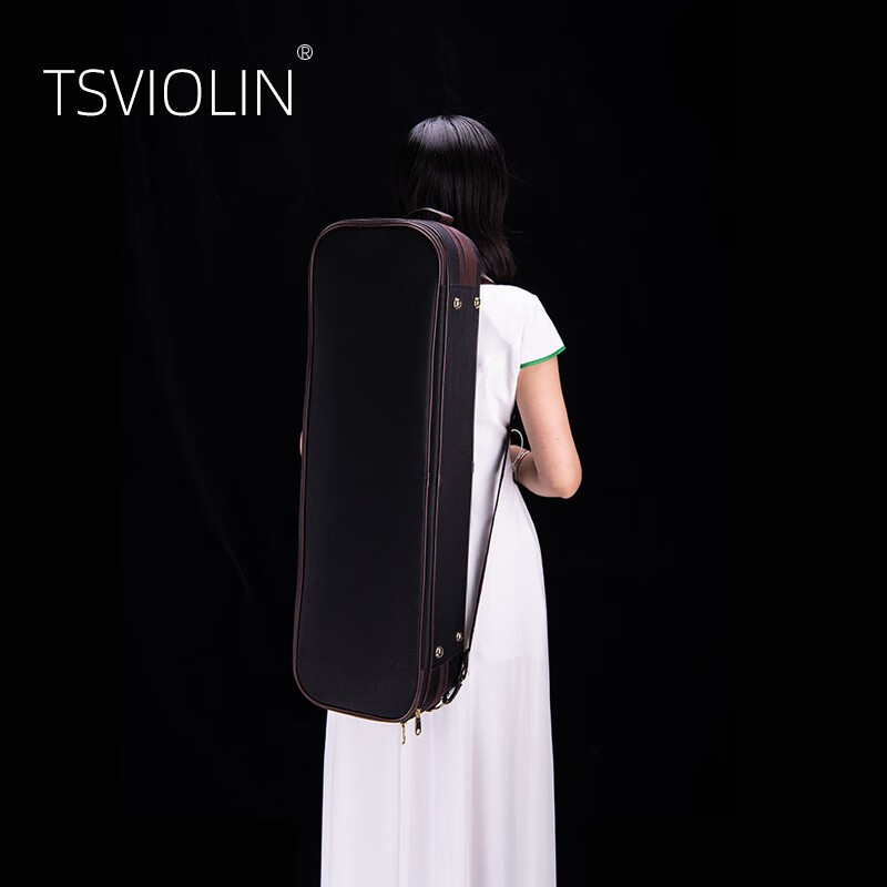 台氏（Tsviolin）小提琴盒轻体应急防潮防水抗压双肩背小提琴箱子带湿度表琴盒 4/4尺寸咖啡边黑色琴盒