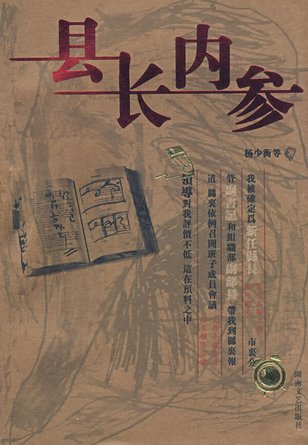 县长内参【正版图书】