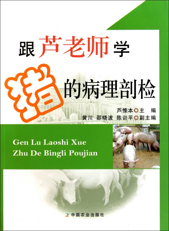 跟芦老师学猪的病理剖检