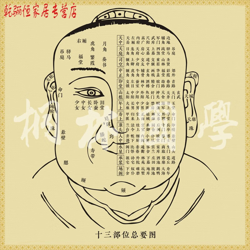 面相图十三部位总要图十三部位总图歌装饰画338十三部位总要图 版式一