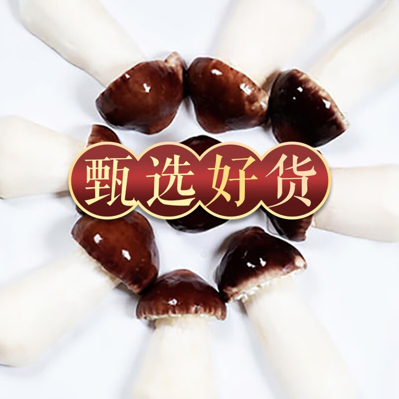 高原云品新鲜赤松茸 云南姬松茸 煲汤火锅食材 航空冷链发货 家宴美食 2000克