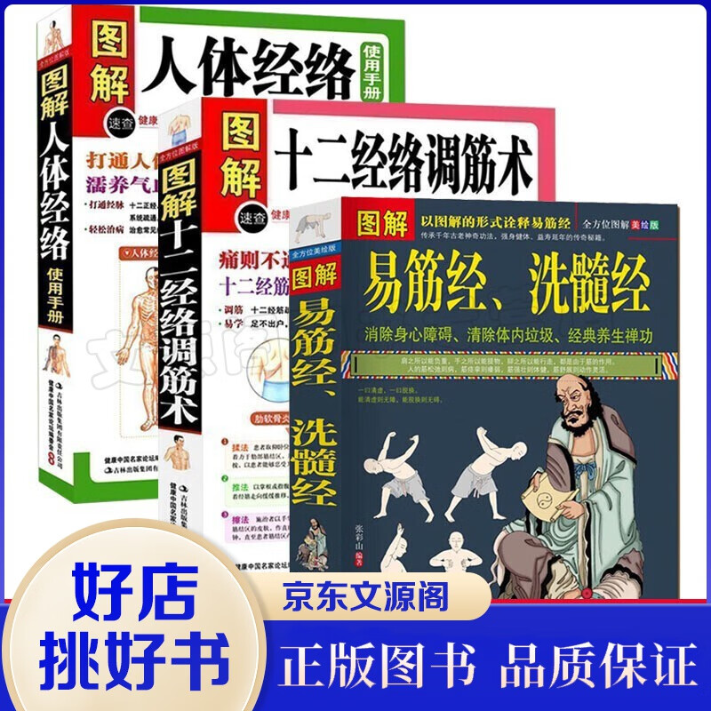 图解易筋经洗髓经+十二经络调筋术+人体经络使用手册易筋经养生达摩古法与少林功夫武术书籍 图解易筋【3册】