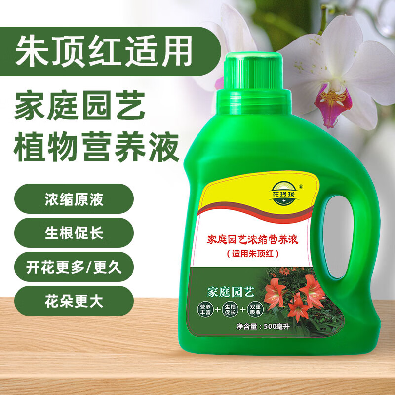 花玲珑适用于朱顶红营养液500ml 红狮大力神赖洛纳花之冠索维里琴比
