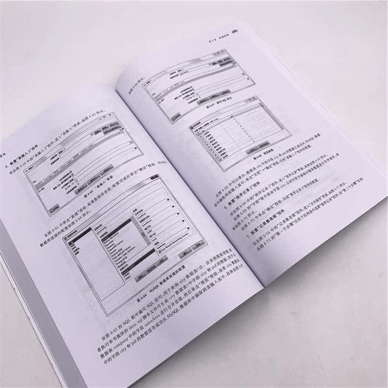 数据清洗/大数据技术与应用丛书详情图
