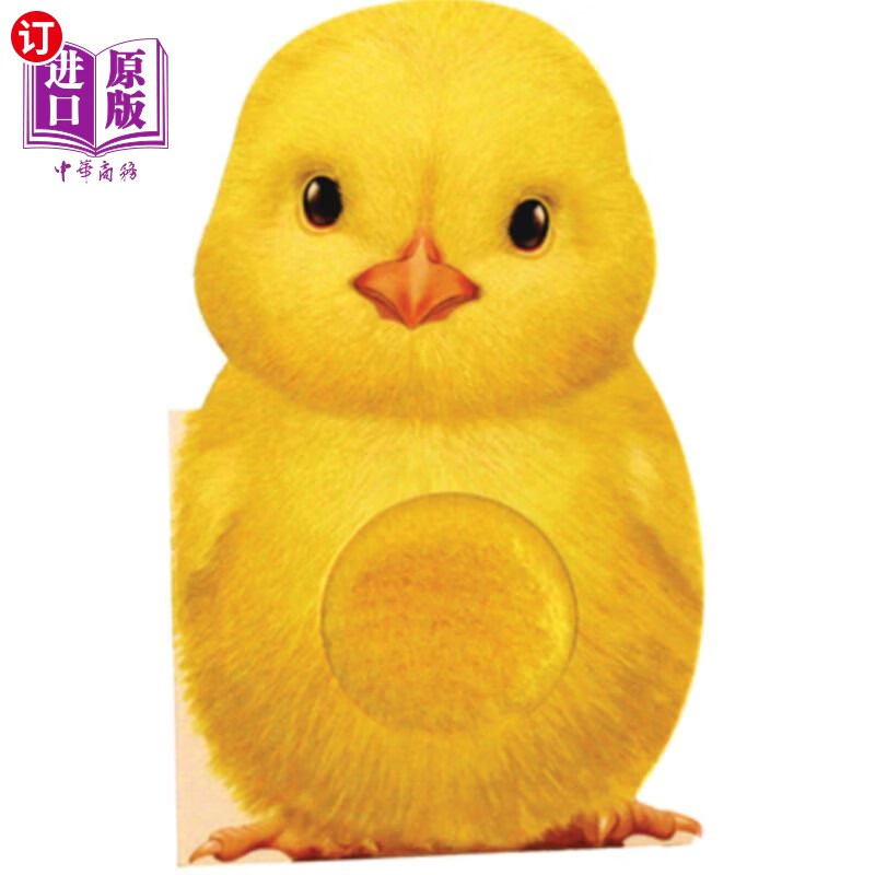海外直订furry chick 毛茸茸的小鸡
