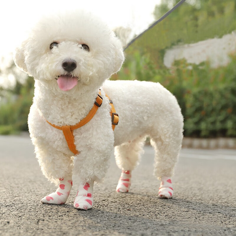 珑小宠宠物狗狗绷带小狗防脏神器自粘胶布狗狗袜子鞋子