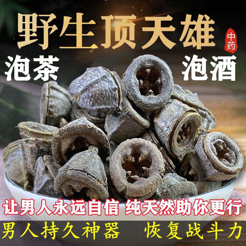 北京同仁堂【野生顶天雄】云南顶天雄苗药可搭配一见起顶天柱硬的久