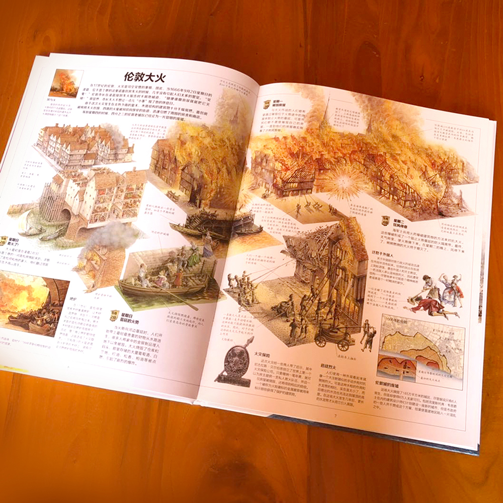DK经典科普作品：大灾难 （精装）详情图