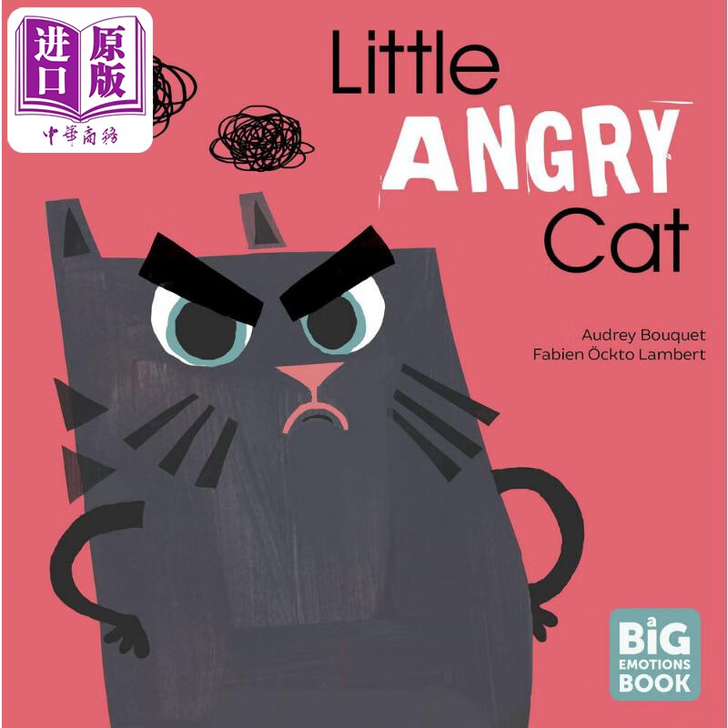 a big emotions book little angry cat 猫猫情绪绘本 一只愤怒猫