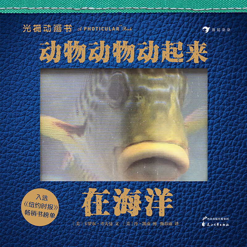 动物动物动起来：在海洋（《纽约时报》畅销书榜单，神奇的光栅图像技术，裸眼动画视觉效果）浪花朵朵