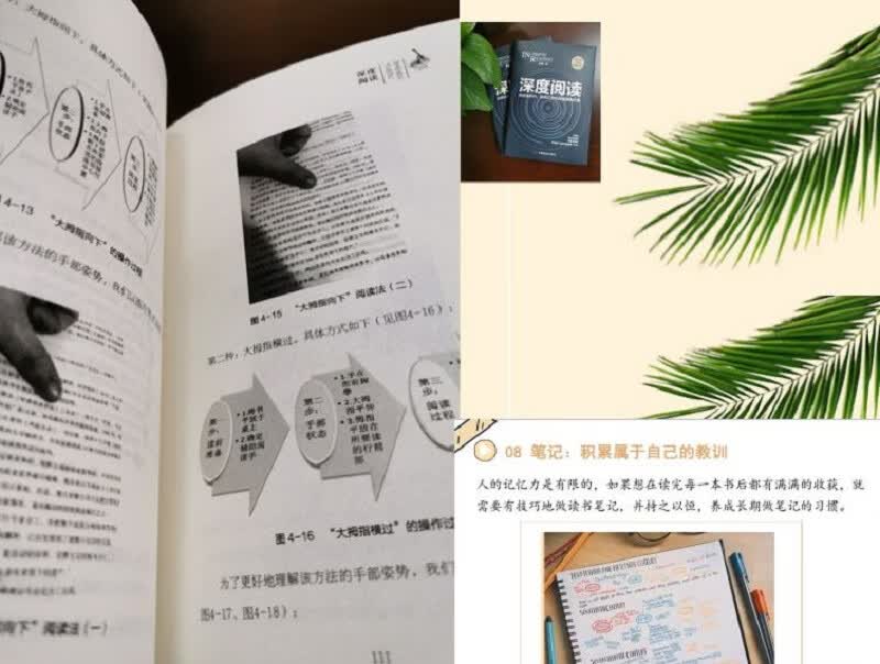深度阅读详情图