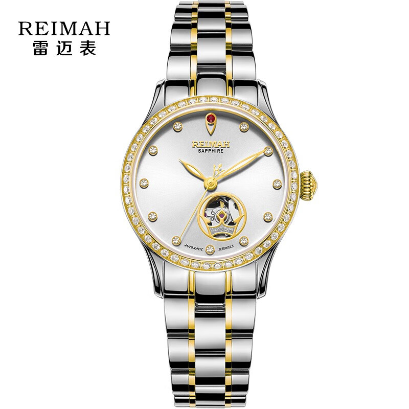 雷迈表（REIMAH） 手表 钢带镂空自动机械女士腕表时尚女表8118L L8118.GW 女介金 女表