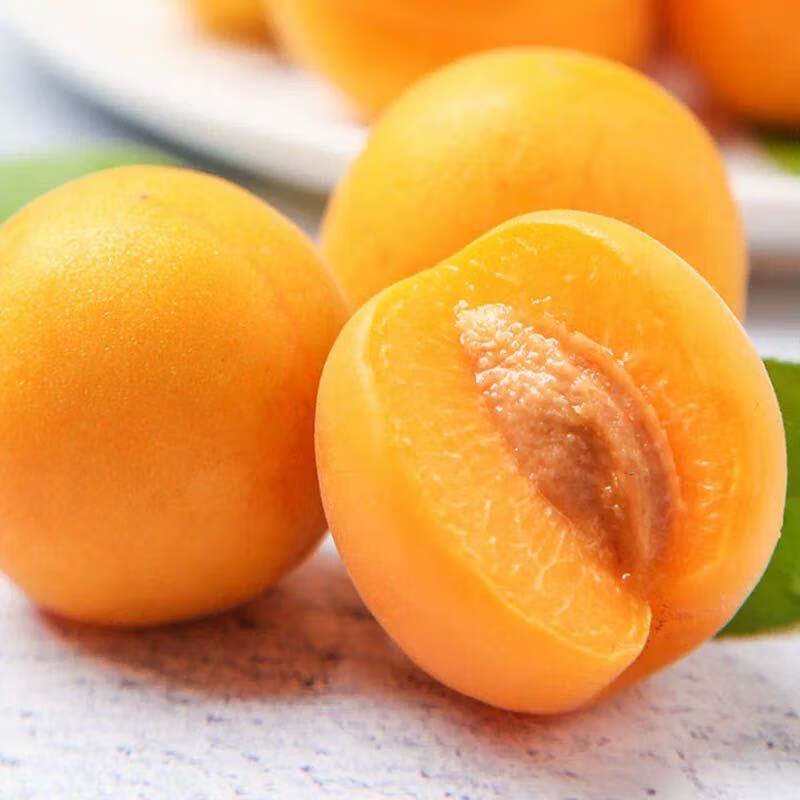 【新泰馆】大黄杏 杏子 新鲜水果 5斤装30个左右