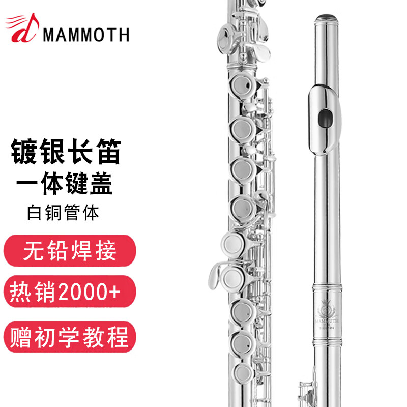 猛犸象一体键盖16孔C调镀银长笛镍白铜初学演奏乐器E键分割闭孔长笛乐器 闭孔IFL-800高性价比高么？