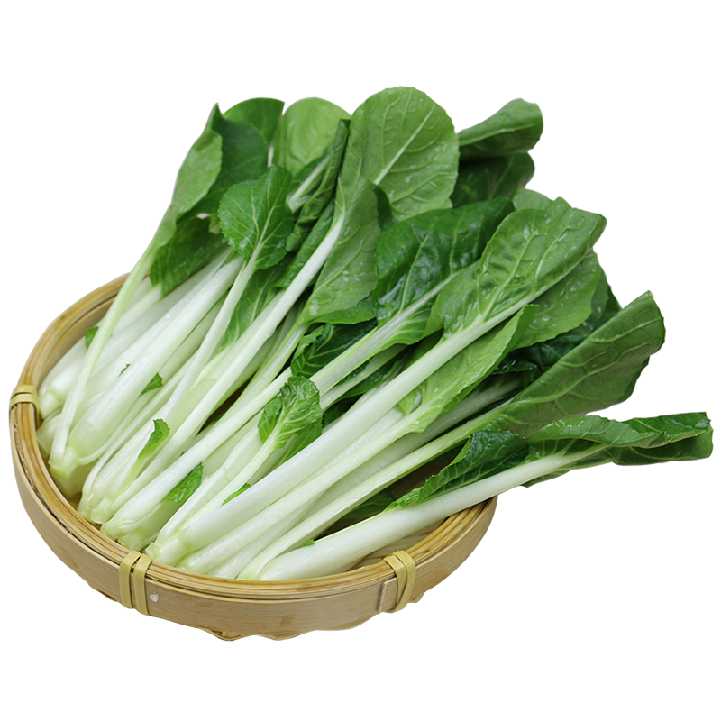 自然之星有机小白菜苗销量持续攀升，价格稳步上涨-京东叶菜类商品推荐|京东怎么看叶菜类价格走势曲线图