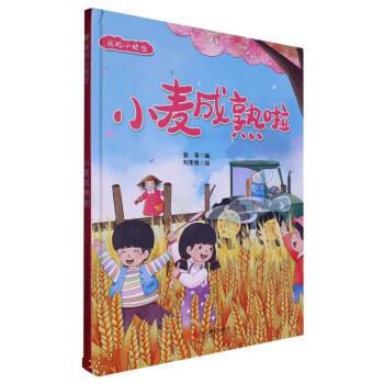 小麦成熟啦