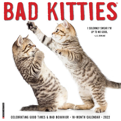 预订bad kitties 2022 wall calendar, cats and kittens