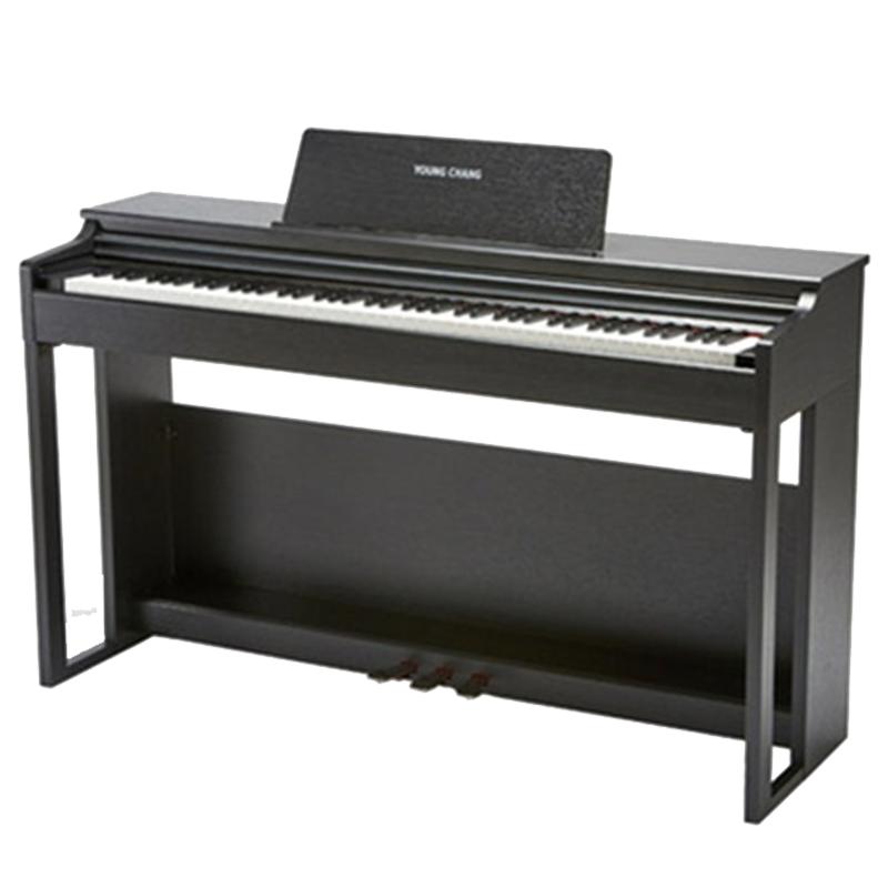 英昌科兹威尔电钢琴：值得购买的高性价比选择|查询电钢琴价格最低