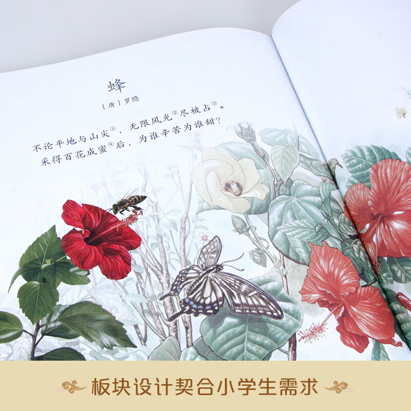 诗词中有科学（套装共6册）