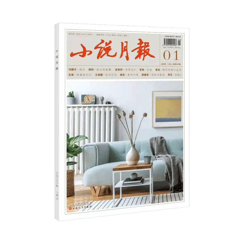 小说月报 2022年 全年期刊订阅  百花文艺出版社旗舰店 小说月报 2022年全年订阅