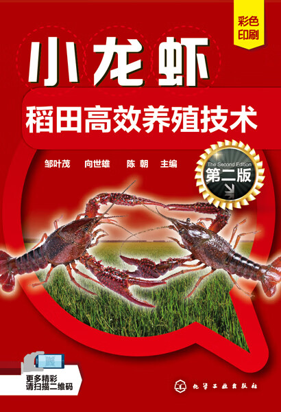 稻田养殖小龙虾怎么养(稻田小龙虾养殖池塘建造图)