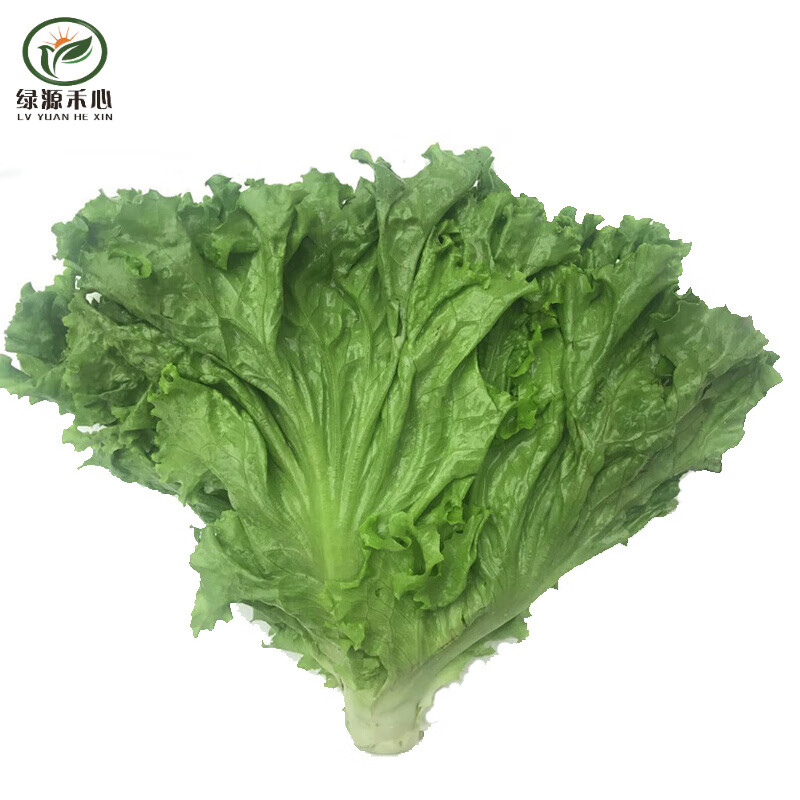 新鲜蔬菜沙拉菜火锅食材生鲜套餐 配送 【顺丰速运】 200g
