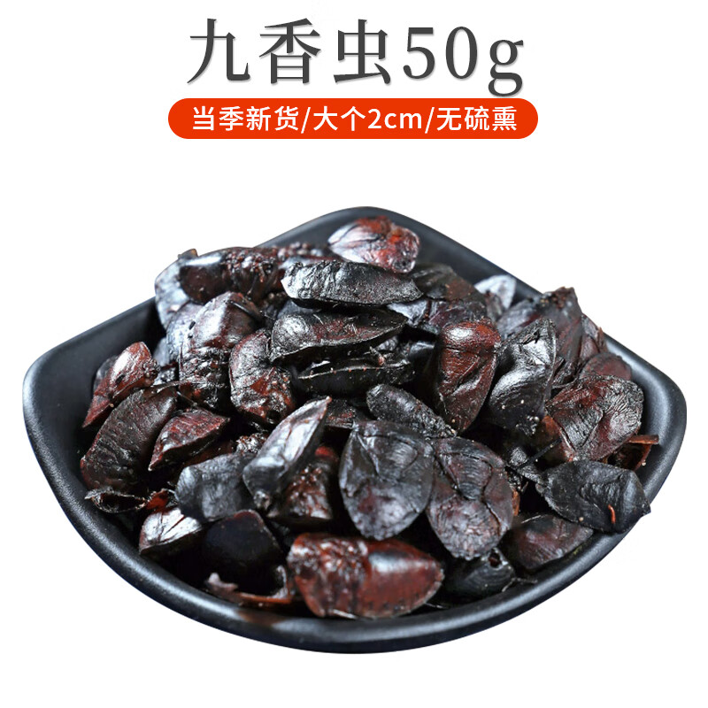 药材九香虫中药100g新鲜打屁虫草药无添加云南野生食用虫泡水 九香虫